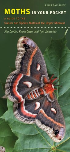 Moths in Your Pocket: A Guide to the Saturn and Sphinx Moths of the Upper Midwest (Bur Oak Guide)