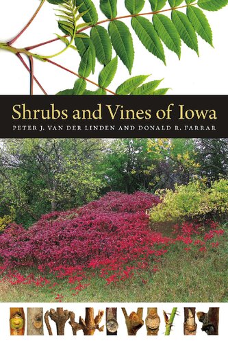Shrubs and Vines of Iowa (Bur Oak Guide)