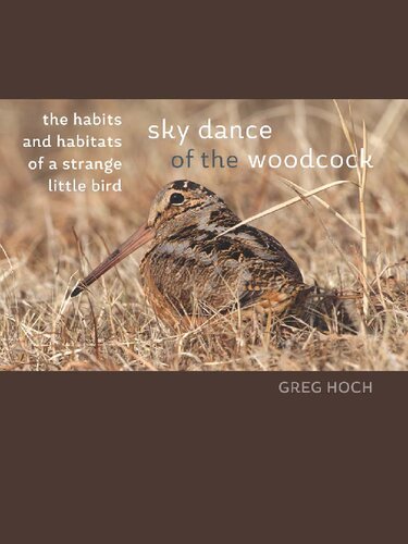 Sky Dance of the Woodcock: The Habits and Habitats of a Strange Little Bird (Bur Oak Book)