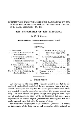 The metamerism of the Hirudinea