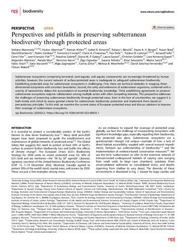 Perspectives and pitfalls in preserving subterranean biodiversity through protected areas