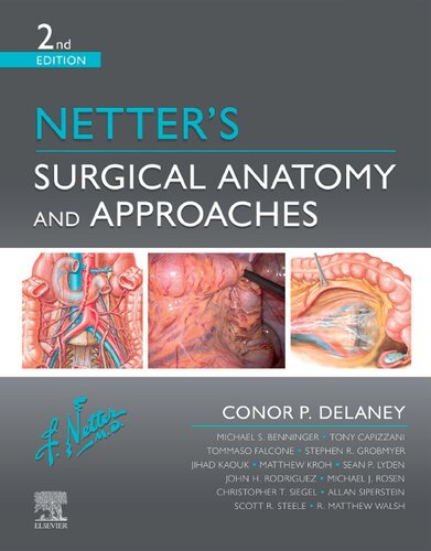 Netter's Surgical Anatomy and Approaches
