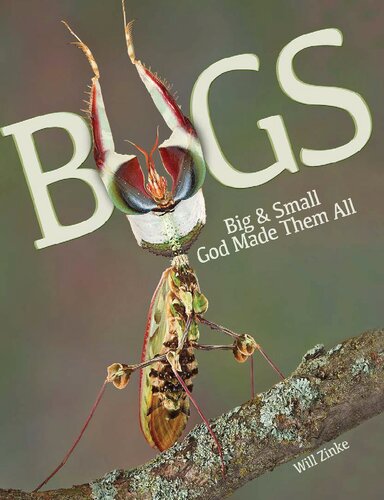 Bugs Big & Small God Made Them All