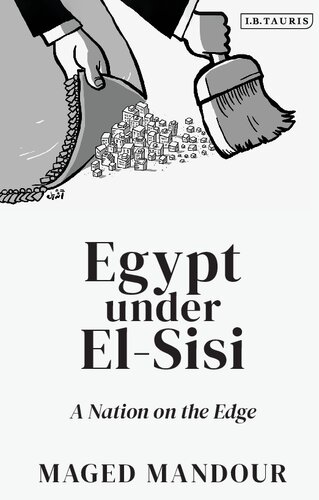 Egypt under El-Sisi: A Nation on the Edge