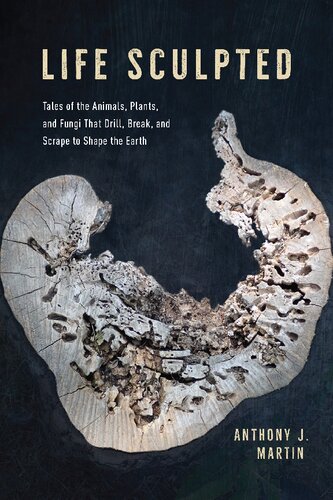Life sculpted. Tales of the animals, plants, and fungi that drill, break, and scrape to shape the earth