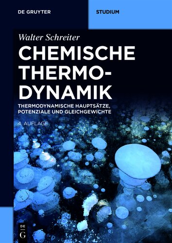 Chemische Thermodynamik - Thermodynamische Hauptsätze, Potenziale und Gleichgewichte