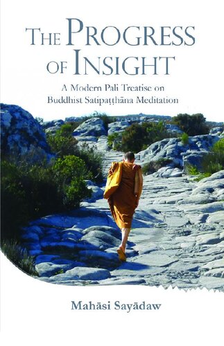 The Progress of Insight