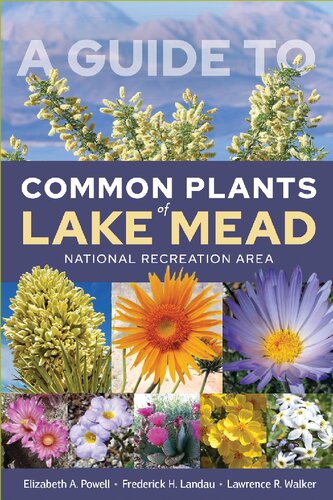 A Guide to Common Plants of Lake Mead National Recreation Area