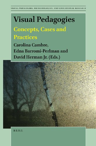 Visual Pedagogies: Concepts, Cases and Practices