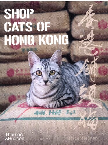 Shop Cats of Hong Kong