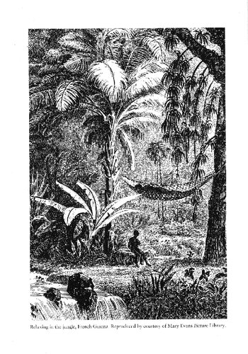 Am introduction to tropical rain forest