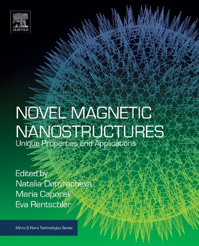 Novel Magnetic Nanostructures: Unique Properties and Applications (Micro and Nano Technologies)