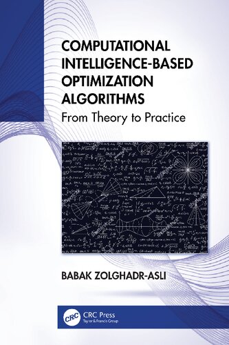Computational Intelligence-based Optimization Algorithms : From Theory to Practice