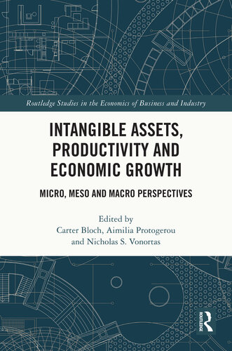 Intangible Assets, Productivity and Economic Growth: Micro, Meso and Macro Perspectives