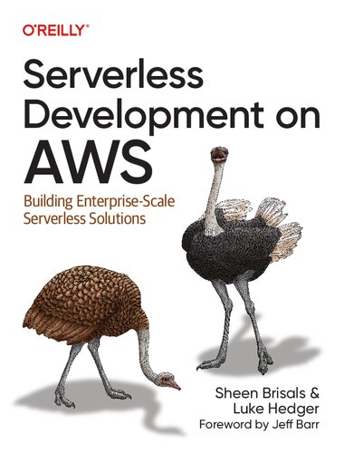 Serverless Development on AWS: Building Enterprise-Scale Serverless Solutions
