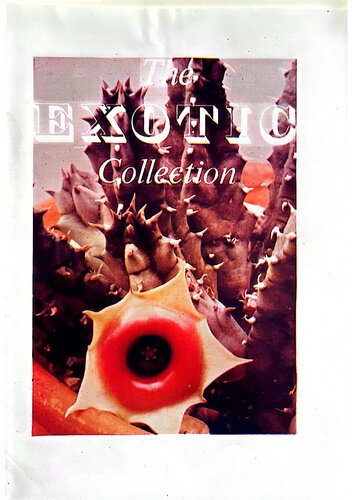 The Exotic Collection