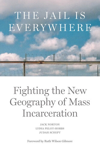 The Jail is Everywhere: Fighting the New Geography of Mass Incarceration