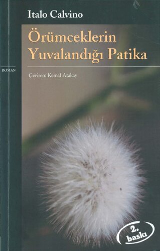 Örümceklerin Yuvalandığı Patika