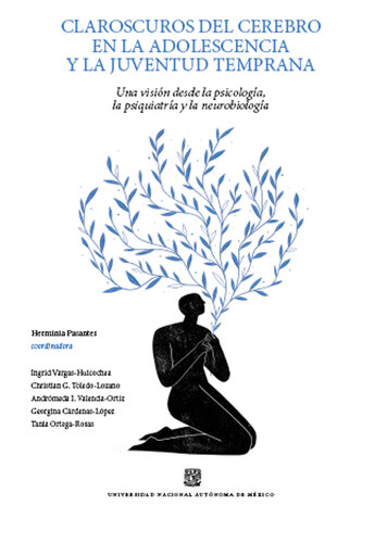 Claroscuros del cerebro en la adolescencia y la juventud temprana: Una visión desde la psicología la psiquiatria y la neurobiología (Spanish Edition)