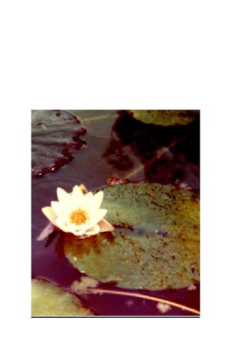 The Anapanasati Sutta: A Practical Guide To Mindfulness of Breathing and Tranquil Wisdom Meditation