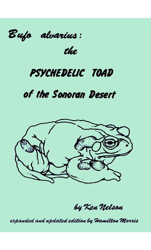 Bufo Alvarius: The Psychedelic Toad of the Sonoran Desert