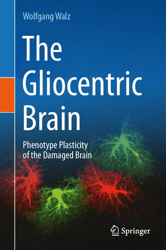 The Gliocentric Brain: Phenotype Plasticity of the Damaged Brain