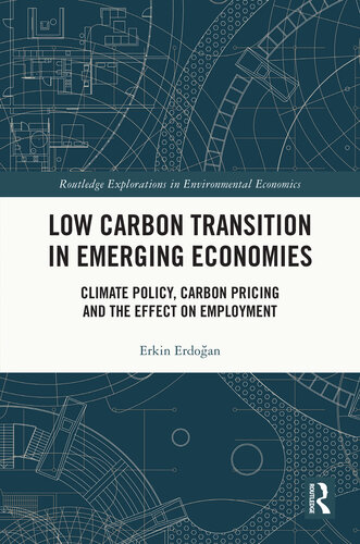 Low Carbon Transition in Emerging Economies