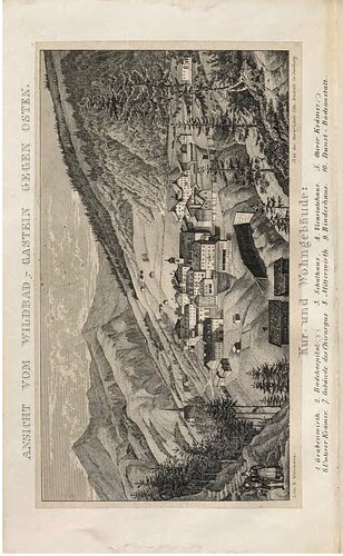 Die warmen Quellen zu Gastein. Ein Beitrag zur näheren Kenntnis der Heilkräfte dieses Alpenbades