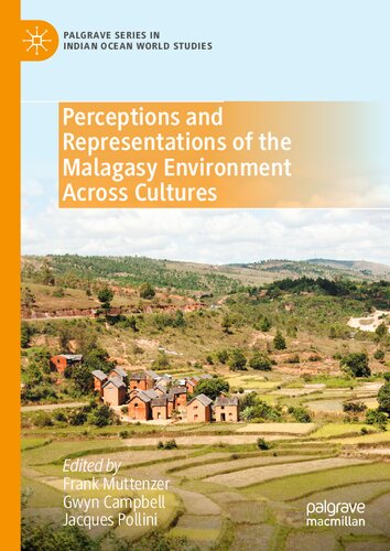 Perceptions and Representations of the Malagasy Environment Across Cultures (Palgrave Series in Indian Ocean World Studies)
