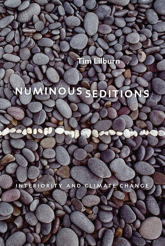 Numinous Seditions: Interiority and Climate Change