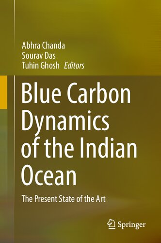 Blue Carbon Dynamics of the Indian Ocean: The Present State of the Art
