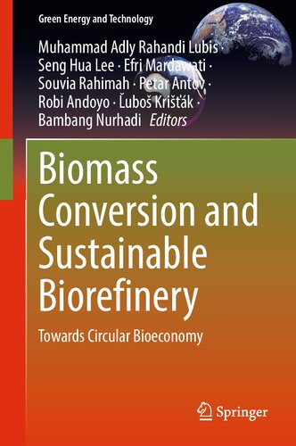Biomass Conversion and Sustainable Biorefinery: Towards Circular Bioeconomy (Green Energy and Technology)