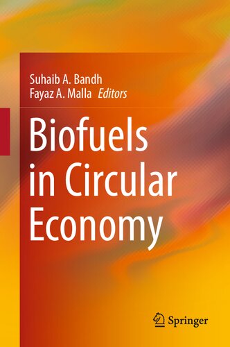 Biofuels in Circular Economy