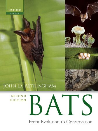Bats. From evolution to conservation