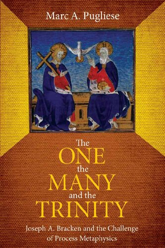 The One, the Many, and the Trinity: Joseph A. Bracken and the Challenge of Process Metaphysics