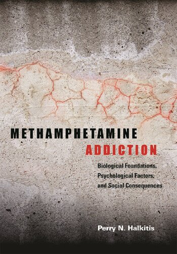 Methamphetamine Addiction: Biological Foundations, Psychological Factors, and Social Consequences
