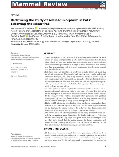 Redefining the study of sexual dimorphism in bats: following the odour trail