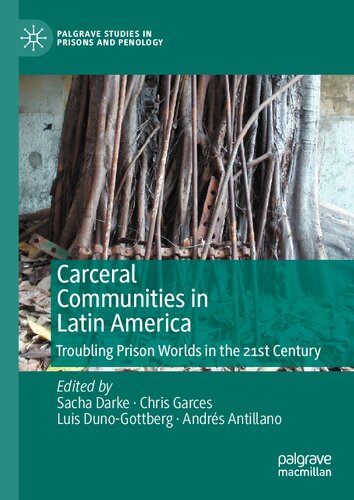 Carceral Communities in Latin America: Troubling Prison Worlds in the 21st Century (Palgrave Studies in Prisons and Penology)