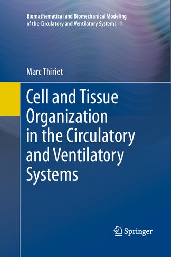 Cell and Tissue Organization in the Circulatory and Ventilatory Systems