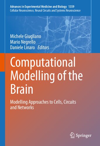 Computational Modelling of the Brain: Modelling Approaches to Cells, Circuits and Networks (Advances in Experimental Medicine and Biology, 1359)