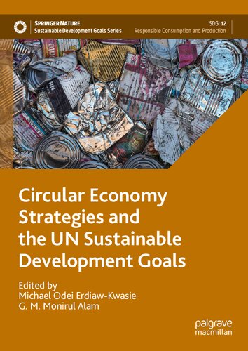 Circular Economy Strategies and the UN Sustainable Development Goals (Sustainable Development Goals Series)