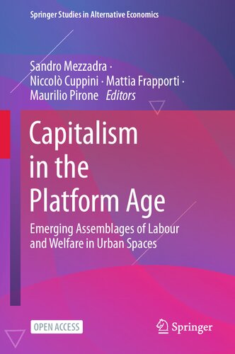 Capitalism in the Platform Age: Emerging Assemblages of Labour and Welfare in Urban Spaces (Springer Studies in Alternative Economics)