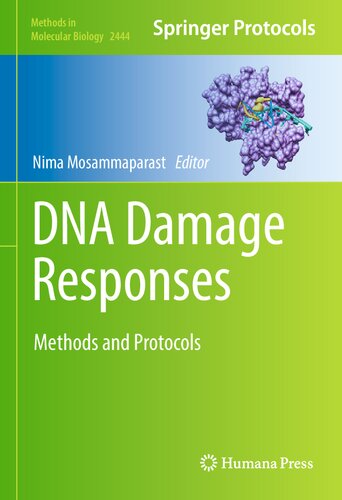 DNA Damage Responses: Methods and Protocols (Methods in Molecular Biology, 2444)