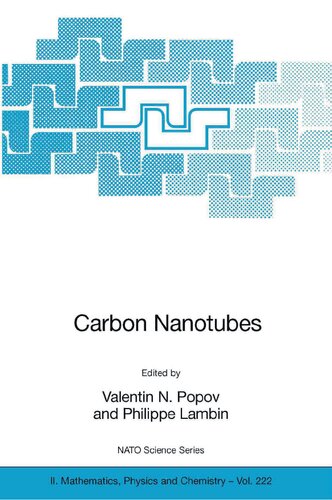 Carbon Nanotubes: From Basic Research to Nanotechnology (NATO Science Series II: Mathematics, Physics and Chemistry)