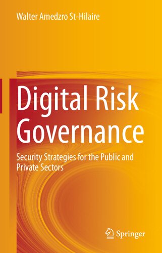 Digital Risk Governance: Security Strategies for the Public and Private Sectors