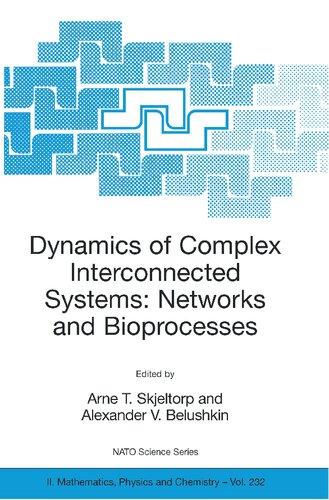 Dynamics of Complex Interconnected Systems: Networks and Bioprocesses (NATO Science Series II: Mathematics, Physics and Chemistry)