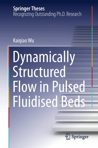 Dynamically Structured Flow in Pulsed Fluidised Beds (Springer Theses)