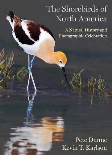 The Shorebirds of North America: A Natural History and Photographic Celebration