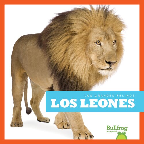 Los leones = Lions