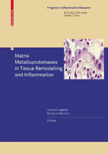 Matrix Metalloproteinases in Tissue Remodelling and Inflammation (Progress in Inflammation Research)